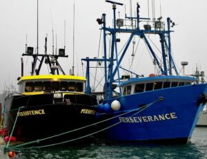 Perseverance and persistence boats