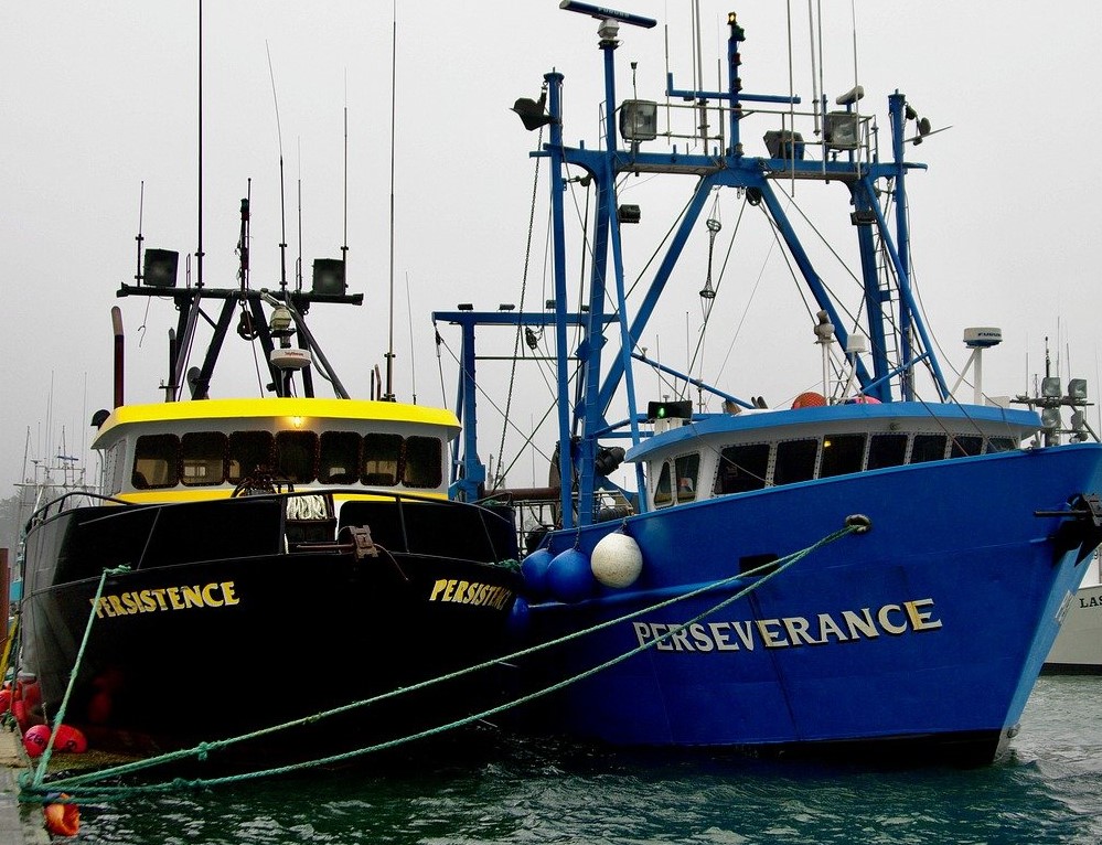 Perseverance and persistence boats